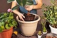 JARDIBEST - Terreau plantes d'intérieur - 20L - vignette