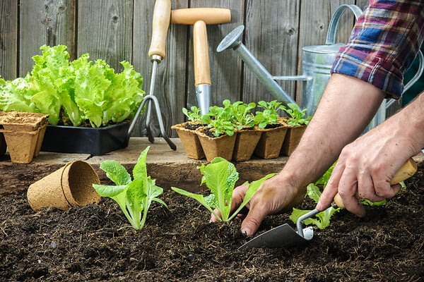 JARDIBEST - Terreau potager - 40L - large