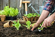 JARDIBEST - Terreau potager - 40L - vignette