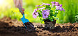 JARDIBEST - Terreau universel - 70L - vignette