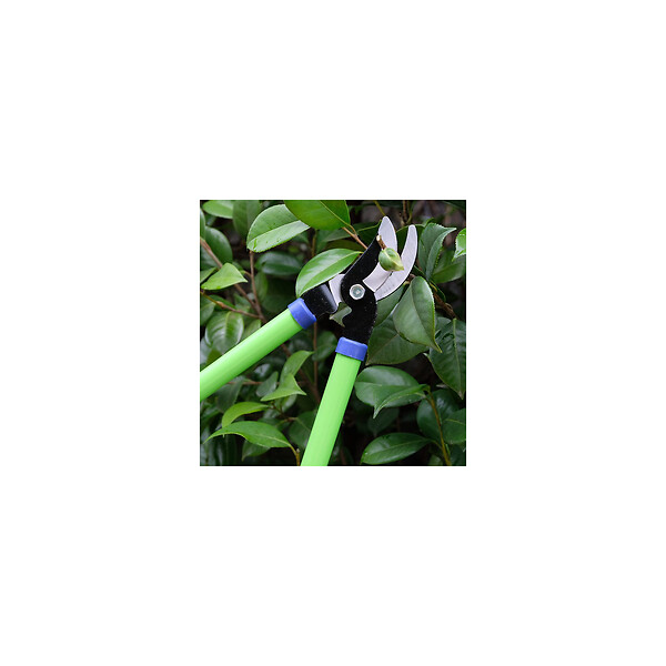 SUAN - Coupe branche lame franche - En acier carbone - Dimensions : 62 x 21,5 cm - large
