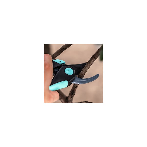 SUAN - Sécateur avec lame franche - En acier - Dimensions : 20 x 6 cm - large