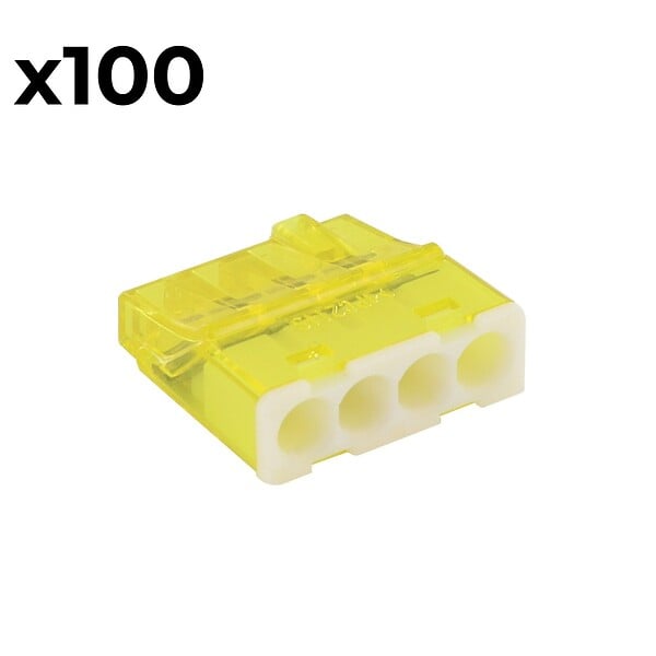 BLM - Boîte de 100 bornes 4 entrées - mini connex - Blm - large