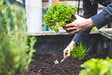 JARDIBEST - Terreau horticole - 40L - vignette