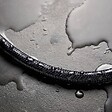 HANSGROHE - Flexible de douche Designflex 160 cm noir mat - vignette