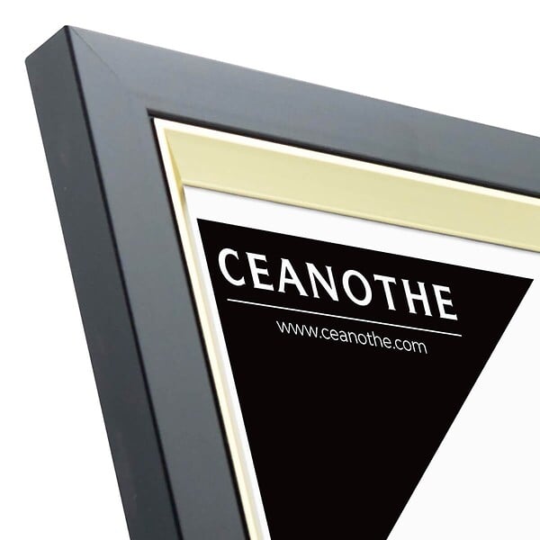 CEANOTHE - Cadre photo Actual noir doré 20x30/A4 cm - large