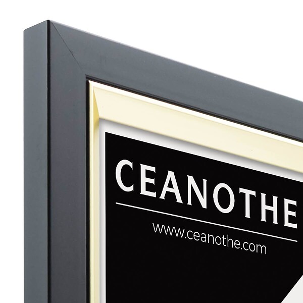 CEANOTHE - Cadre photo Actual noir doré 24x30 cm - large