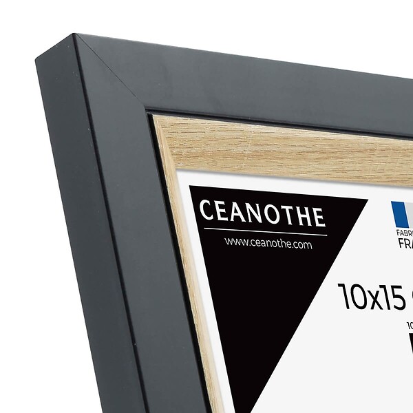 CEANOTHE - Cadre photo Actual bois noir 10x15 cm - large