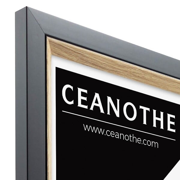 CEANOTHE - Cadre photo Actual bois noir 24x30 cm - large