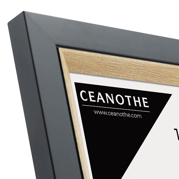 CEANOTHE - Cadre photo Actual bois noir 18x24 cm - large