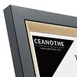CEANOTHE - Cadre photo Actual bois noir 18x24 cm - vignette