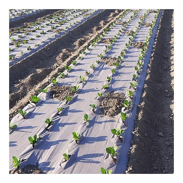 KZ GARDEN - Toile de paillage Agricole 0.6 x 100m Autodégradable 2en1 Engrais et Anti mauvaises herbes 100% Cellulose - large