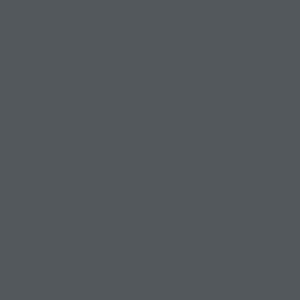 V33 PEINTURE - Peinture sol extérieure Climats Extrêmes® Anthracite - 0,5L - large