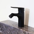 ESSEBAGNO - Full mitigeur bidet noir - vignette