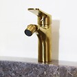 ESSEBAGNO - Full mitigeur bidet or brossé - vignette