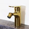ESSEBAGNO - Full mitigeur bidet or brossé - vignette