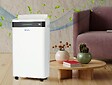 PURLINE - Déshumidificateur avec compresseur 20 l/d - vignette