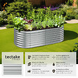 TECTAKE - Carré potager au volume généreux galvanisé résistant aux intempéries argent 200 x 100 x 60 cm y compris les gants montage rapide - vignette