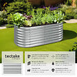 TECTAKE - Carré potager FLORMMA 160 x 80 x 60 cm argent - vignette