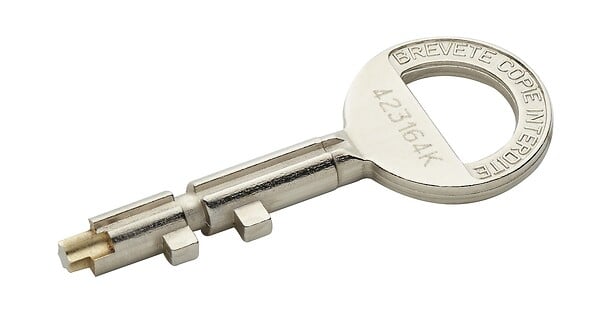 PICARD - MECANISME PRES N2 VIGIE DTE - large