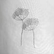 C MA DECO - Paire de vitrage COSMOS - vignette