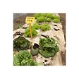 KZ GARDEN - Toile de paillage Papier Kraft 1.20 x 300m Autodégradable Paillage pour Jardin Anti mauvaises herbes 100% Cellulose - vignette