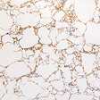 COSYNEO - Receveur de douche en pierre naturelle extra plat à poser 90x100cm - blanc marbre - ORIGINE - vignette