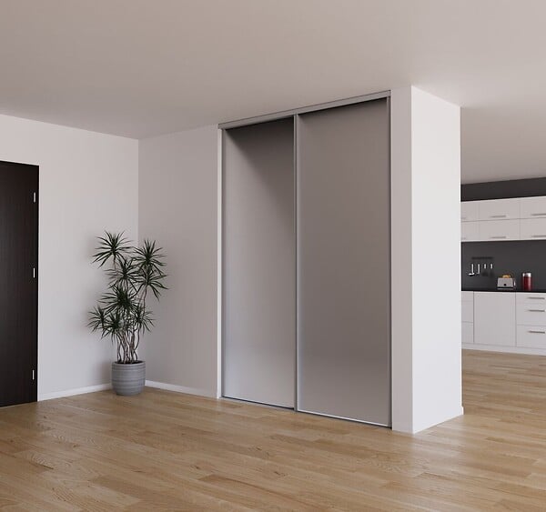 YNGENIO - Porte de placard coulissante miroir gris - H.248,5xL.62,2cm - large