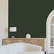 99DECO - Peinture Mur Velours - Vert Forêt - Interieur - 2,5l - vignette