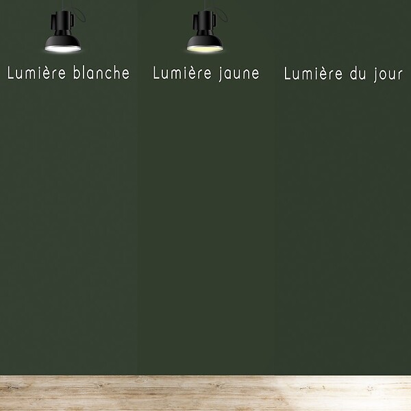 99DECO - Peinture Mur Velours - Vert Forêt - Interieur - 2,5l - large