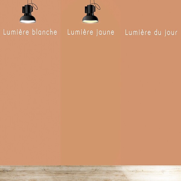 99DECO - Peinture Mur Velours - Rouge Ocre - Interieur - 1l - large