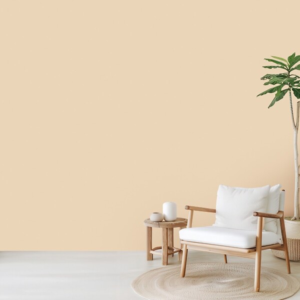 99DECO - Peinture Mur Velours - Nude - Interieur - 2,5l - large