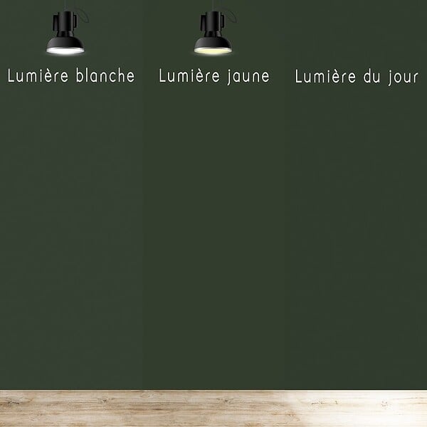 99DECO - Peinture Mur Velours - Vert Forêt - Interieur - 1l - large