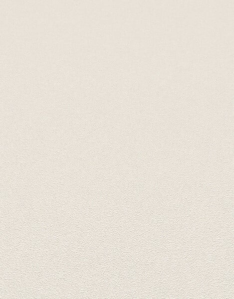ERISMANN - Papier peint intissé grainé coloris beige - large