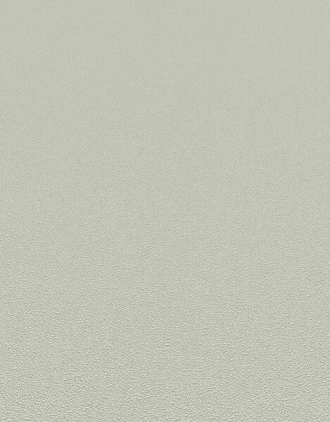 ERISMANN - Papier peint intissé grainé coloris vert - large