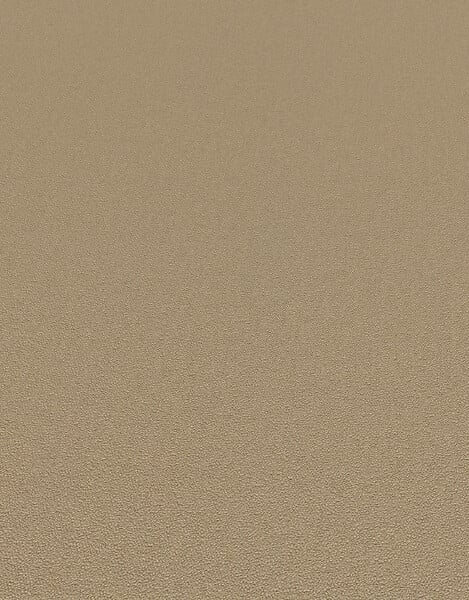 ERISMANN - Papier peint intissé grainé coloris brun - large