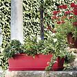 DEROMA - Plateau Day R Rosso - Rouge - Diam.50cm - vignette