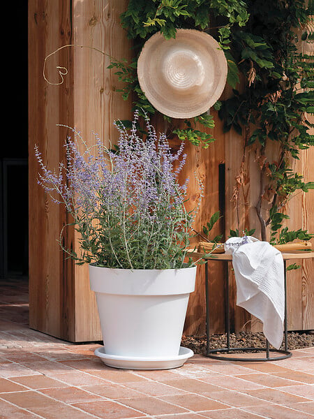 DEROMA - Soucoupe Day R Bianco 22cm - large
