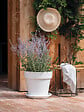 DEROMA - Soucoupe Day R Bianco 22cm - vignette