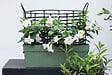 DEROMA - Jardinière Save R Lichen recyclée - Vert - 10L - 49cm - vignette