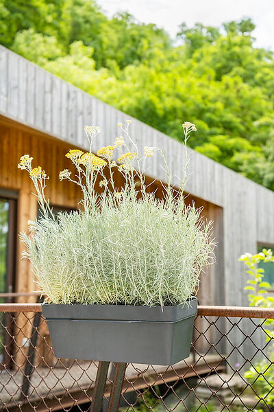 DEROMA - Jardinière Like R - Anthracite - Réserve d'eau - 49x30cm - large