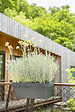 DEROMA - Jardinière Like R - Anthracite - Réserve d'eau - 49x30cm - vignette