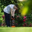 BLACK+DECKER - Pulvérisateur Jardin 6L + Lance Pulvérisateur à Pression Jardin Black & Decker - vignette