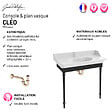JACOB DELAFON - Console Cléo 1889 avec plan vasque + miroir + siphon or - vignette
