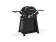 WEBER - Barbecue à gaz Q 2800N+ Chariot noir + Spatule - Weber - vignette