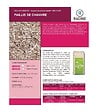 RACINE - Paillis de chanvre dégradable sans pesticide - balle de 200 litres pour 5 m² - vignette