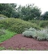 RACINE - Paillage minéral en pouzzolane rouge 7/15 500 litres pour 10m2 - vignette
