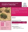 RACINE - Paillage mulch végétal plaquette forestière palette de 10 sacs de 50 L - KOM24-10x50 - vignette