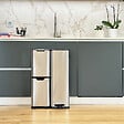 KITCHEN MOVE - Poubelle pédale tri sélectif HAJA argent 60L - vignette