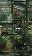 AS CREATION - Papier peint panoramique Havre Botanique - Vert - vignette